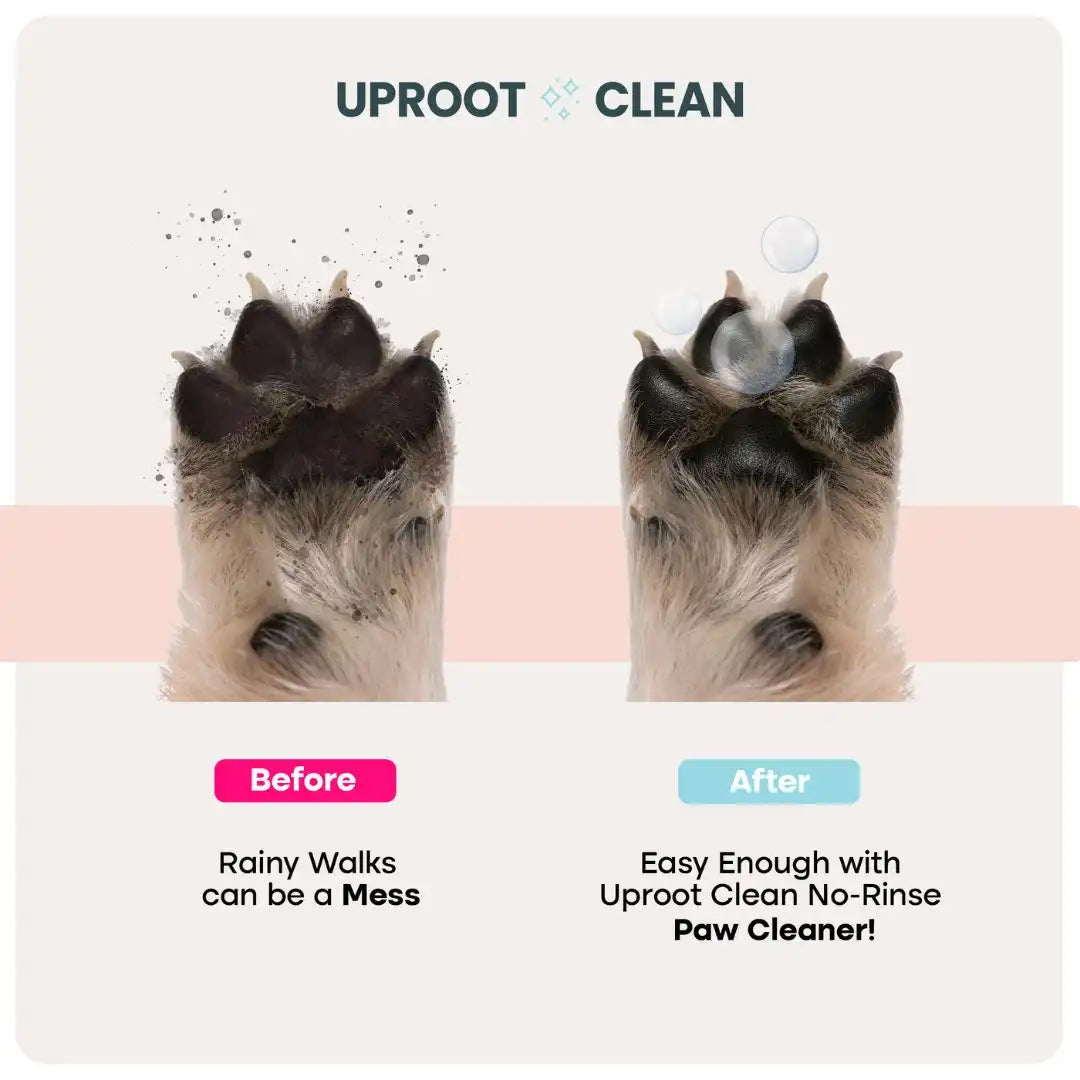 Uproot Paw Cleaner - Rinse-Free Foam Cleanser (150 Uses)