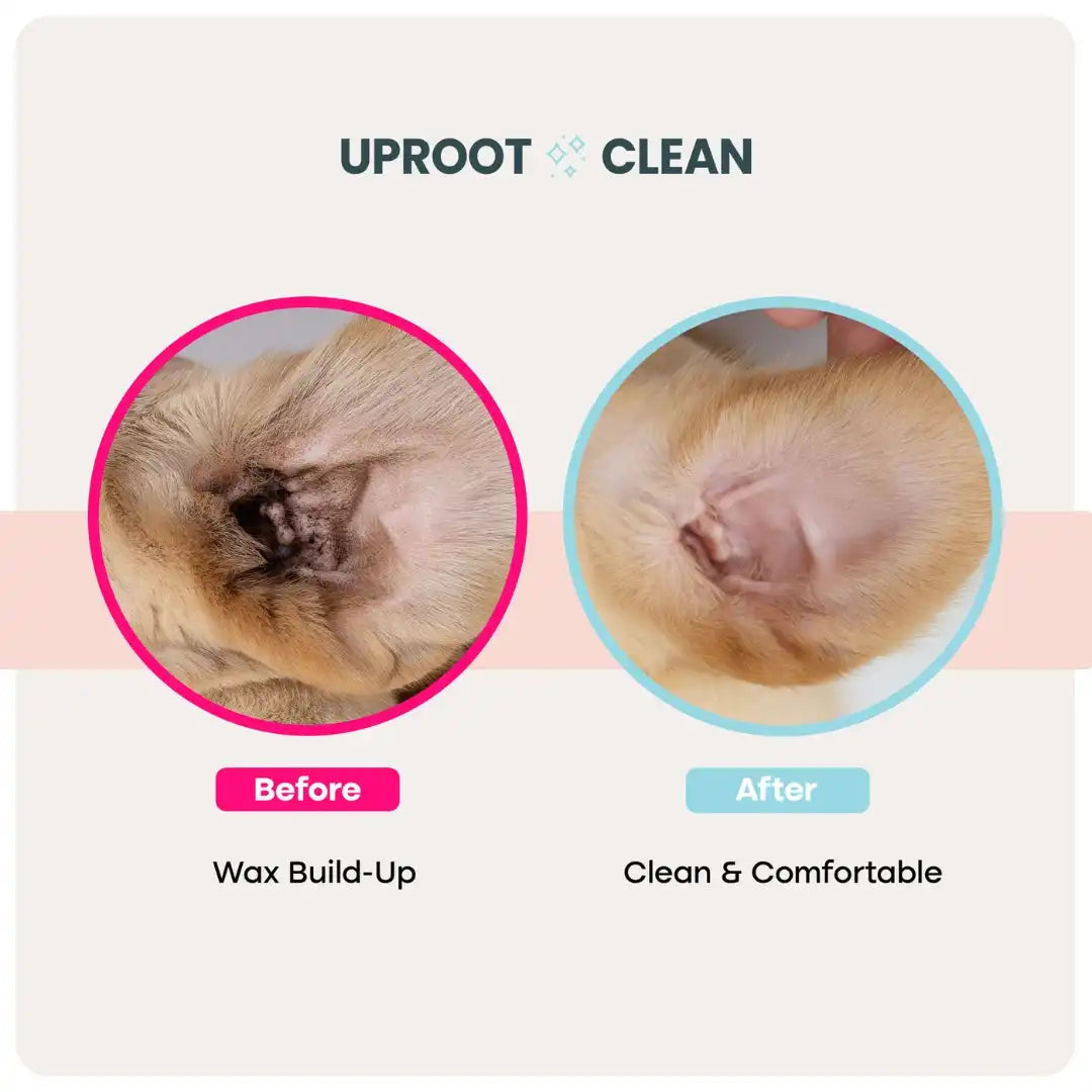 Uproot Pet Care Bundle