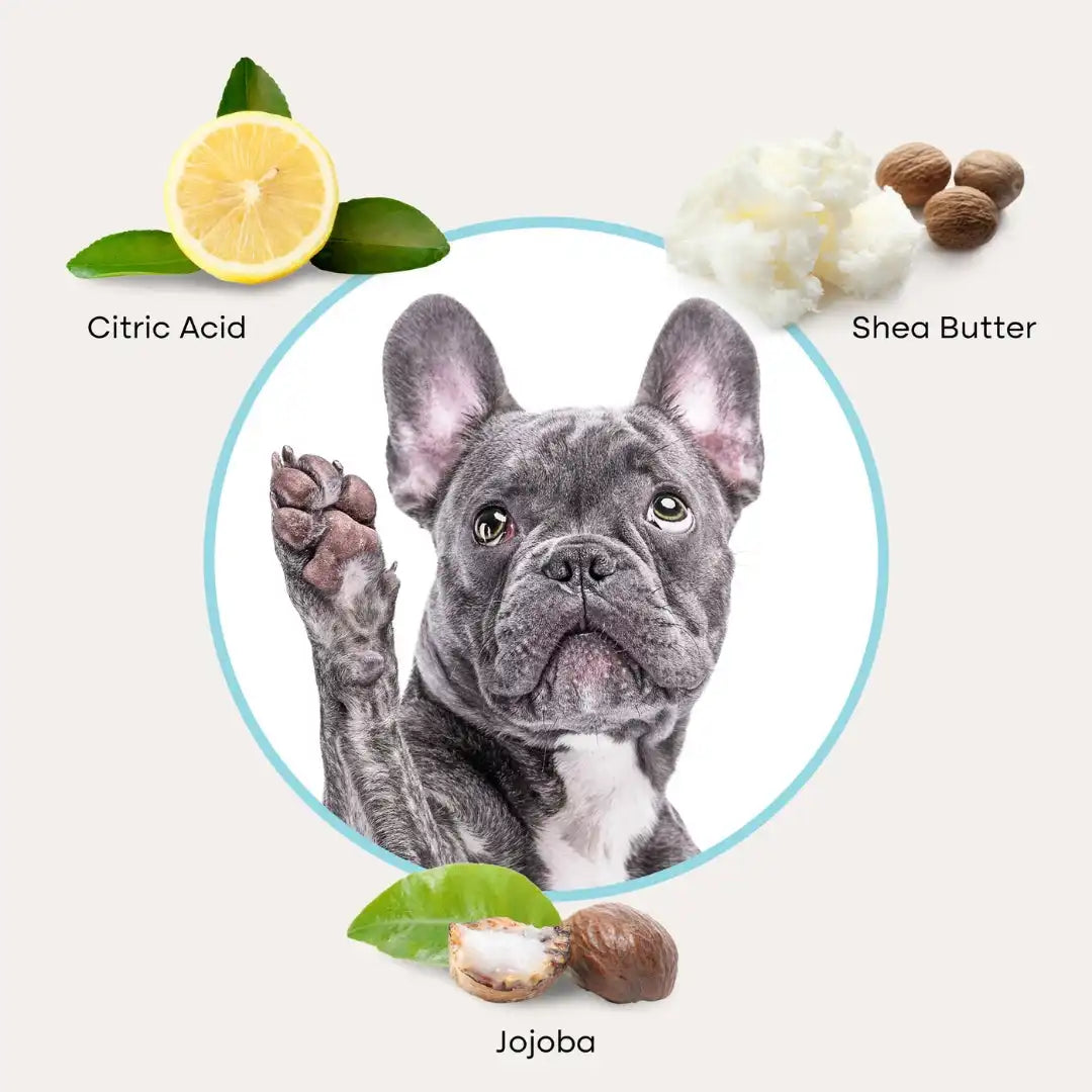 Uproot Pet Care Bundle